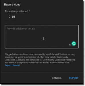 additional information reporting youtube video