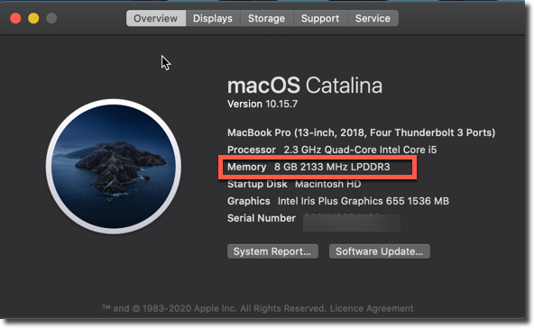 find ram type mac