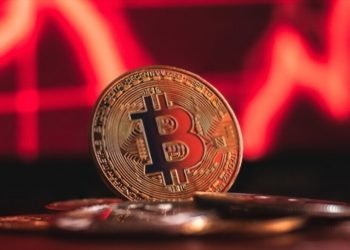 bitcoin investment risk